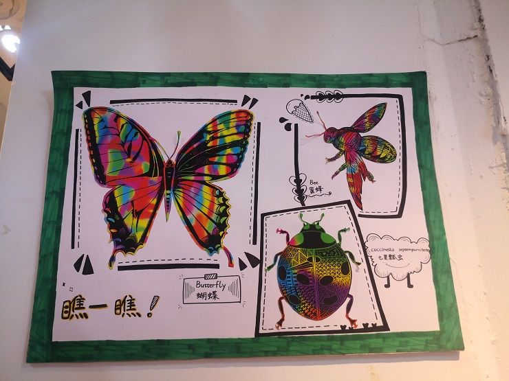 手工、画  (20).jpg